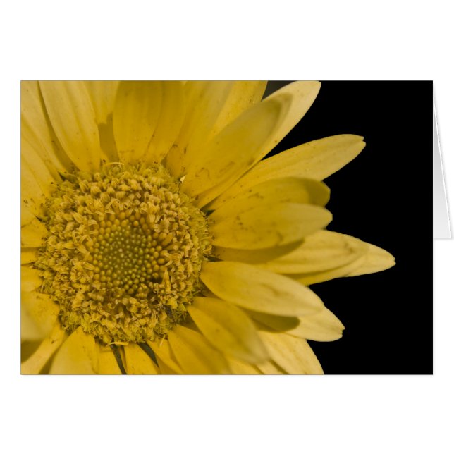 hier komt de zon . (Voorkant Horizontaal)