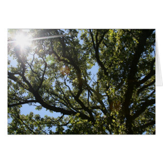 "Hier komt de zon" van Larry Coressel
