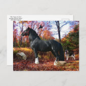 "Hier komt het Briefkaart van de Zon" (Voorkant / Achterkant)