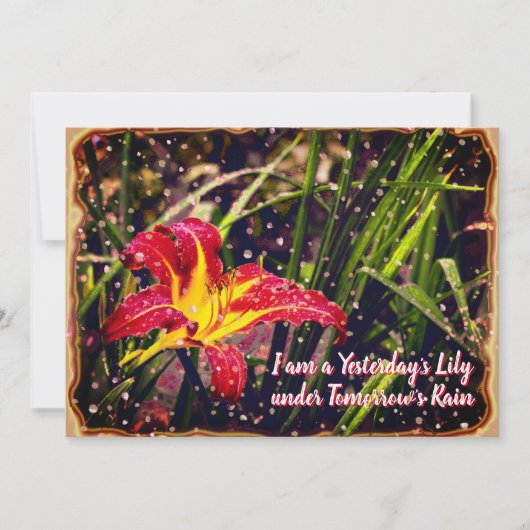 Hier Lily dans demain pluie Carte postale (Devant)