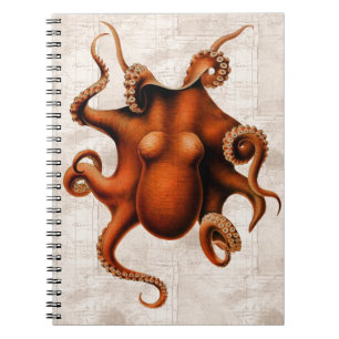 Hier zie je de Monsters Notitieboek