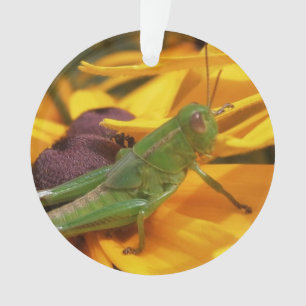 Hier zie je je — sprinkhaan ornament