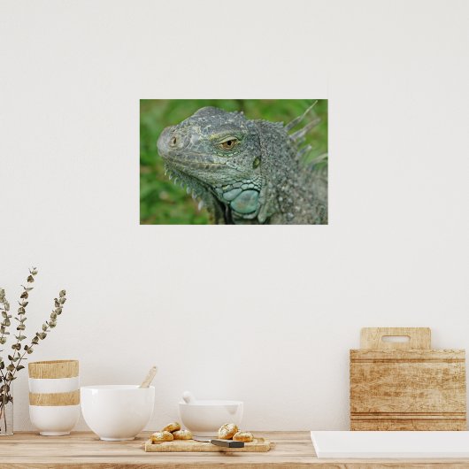Hier zijn Dragons Poster (Keuken)