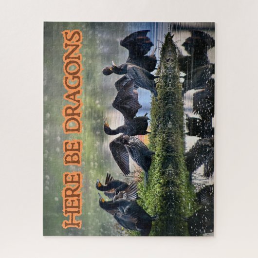 Hier zijn Draken Aalscholvers zijwaarts gericht Legpuzzel (Verticaal)