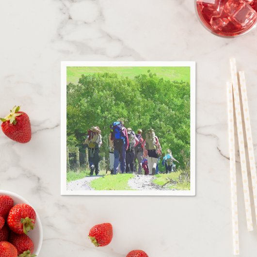 HIERMEE SERVETTEN (Insitu)