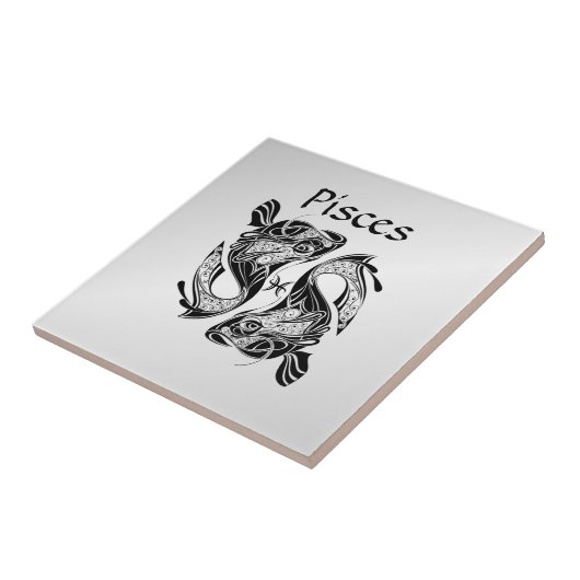 Hiermee wordt het symbool visdierentuin en -teken  tegeltje (Zijkant)