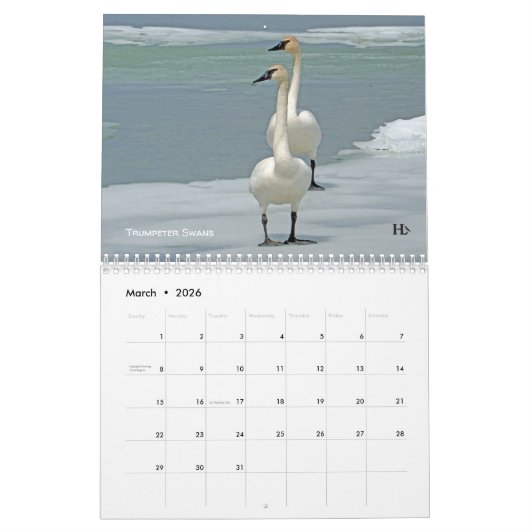 Higgins Lake Nature 2020 Calendrier c (Mar 2026)