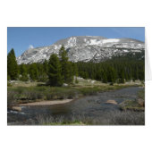 High Country Mountain Stream II in Yosemite (Voorkant Horizontaal)