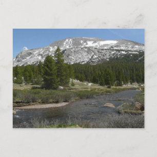 High Country Mountain Stream II in Yosemite Briefkaart