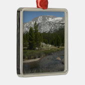 High Country Mountain Stream II in Yosemite Metalen Ornament (Rechts)