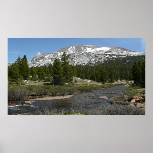 High Country Mountain Stream II in Yosemite Poster (Voorkant)