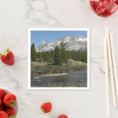 High Country Mountain Stream II in Yosemite Servet (Insitu)