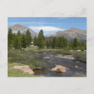 High Country Mountain Stream III bij Yosemite Briefkaart