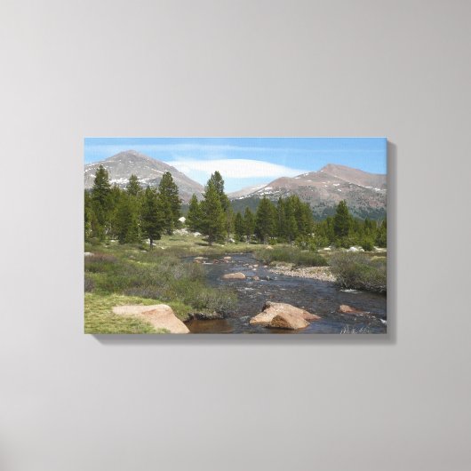 High Country Mountain Stream III in Yosemite Canvas Afdruk (Voorkant)