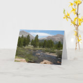 High Country Mountain Stream III in Yosemite Kaart (Gele Bloem)