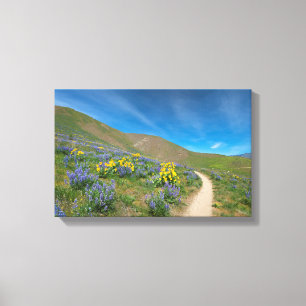 High Desert Spring Bloom Canvas Afdruk