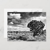 High Noon Briefkaart (Voorkant / Achterkant)