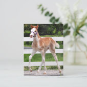 High Steppin Briefkaart (Staand voorkant)