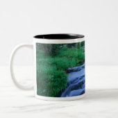 HIGH UINTAS WILDERNESS, UTAH. Stillwater Fork Tweekleurige Koffiemok (Links)