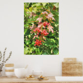 Highbush Cranberries Poster (Keuken)
