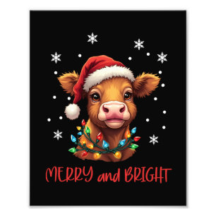 Highland Baby Koe kerstverlichting Foto Afdruk