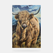Highland Bull Acryl Bord (Voorkant)