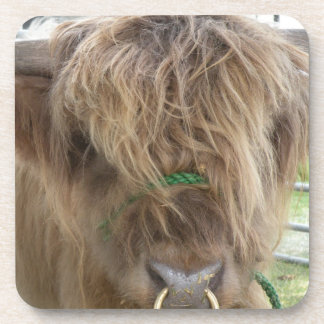 Highland Bull onderzetter