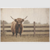 Highland Bull stijl vee decoupage Tissuepapier (Voorkant)