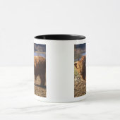 Highland Cattle Bull, Schotland Mok (Midden)