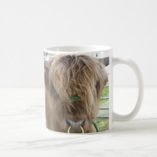 Highland Cattle mok