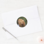 Highland Cattle Ronde Sticker (Envelop)