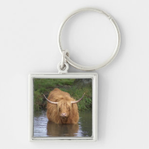 Highland Cattle Sleutelhanger