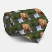 Highland Cattle Stropdas (Opgerold)