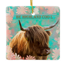 Highland Coo