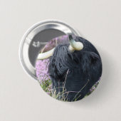 Highland Coo Ronde Button 5,7 Cm (Voorkant /achterkant)