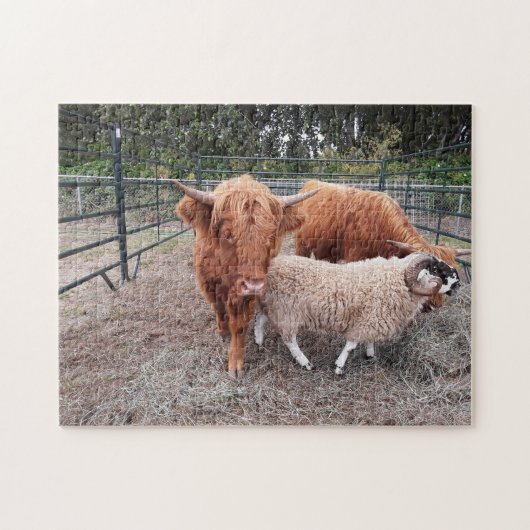 Highland Coos en Sheep Jigzaag Puzzle Legpuzzel (Horizontaal)