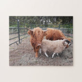 Highland Coos et Sheep Jigsaw Puzzle (Horizontal)