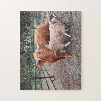 Highland Coos et Sheep Jigsaw Puzzle