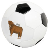 Highland cow (3/4)