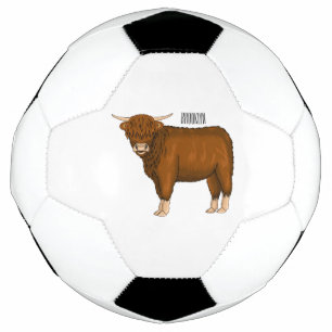 Highland cow
