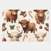Highland Cow Festive Santa Christmas Inpakpapier Vel (Voorkant 2)