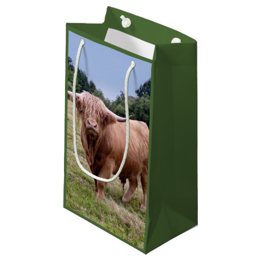 Highland Cow Gift Bag Klein Cadeauzakje (Voorkant Gekanteld)