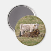 Highland Cow Magnet Magneet (Voorkant / Achterkant)