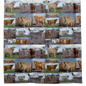Highland Cow Photo Collage, Rideau de douche (Devant)