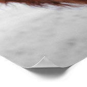 Highland Cow Scotland Poster Russe Farm (Coin)