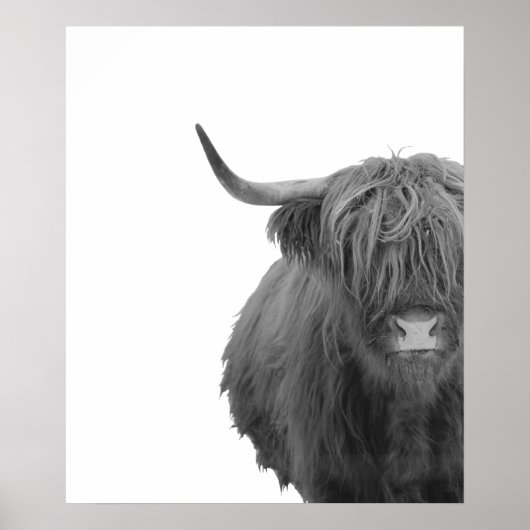 Highland Cow Scotland Russe noir blanc Poster (Devant)