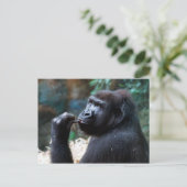 Highland Gorilla - Picking Teeth Briefkaart (Staand voorkant)