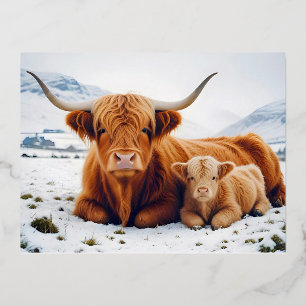Highland Koe Animal Natuur Wildlife Affection Lief Folie Feestdagen Briefkaart