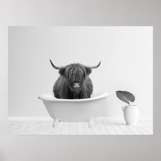 Highland Koe Bathtub Home Horizontal Poster (Voorkant)