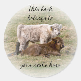 Highland Koe "Dit boek behoort toe" sticker
